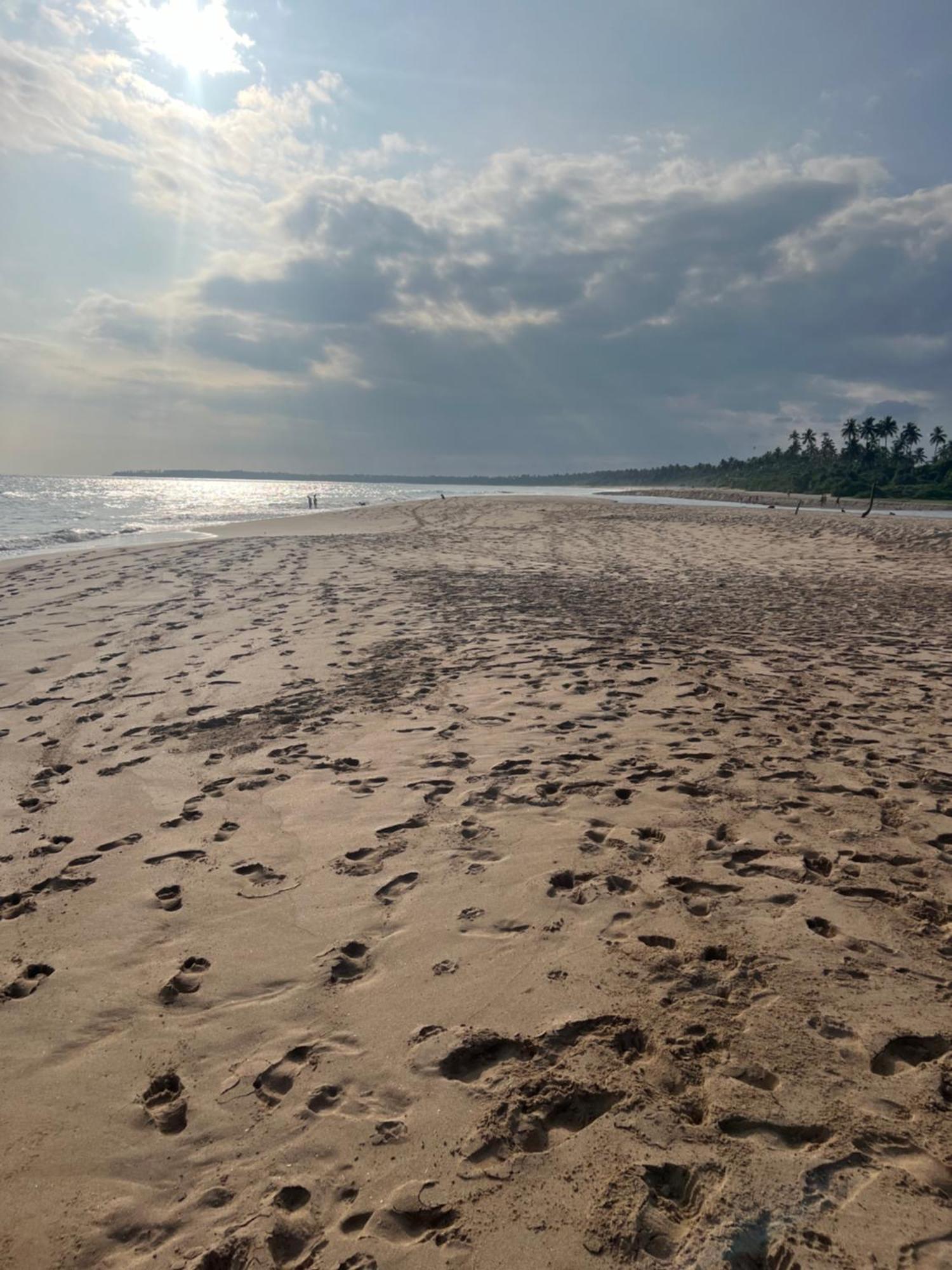 Seth Villa By Magampura Resorts Tangalle Eksteriør billede